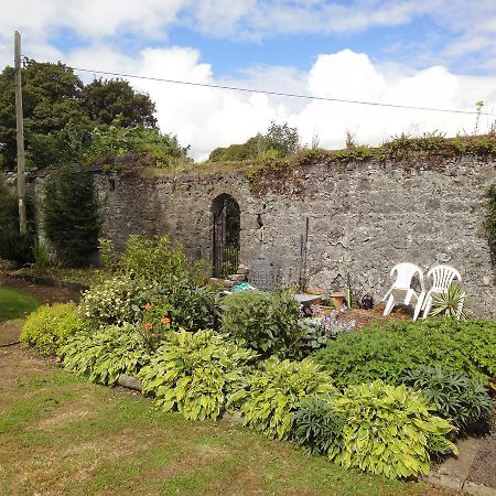 Glendine House Kilkenny Bed & Breakfast Екстериор снимка