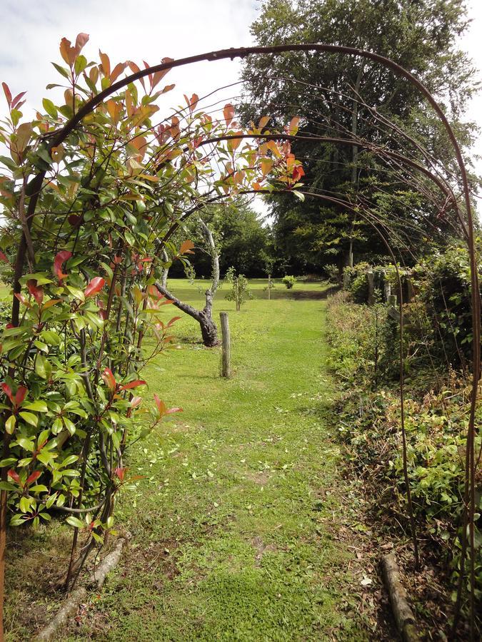 Glendine House Kilkenny Bed & Breakfast Екстериор снимка