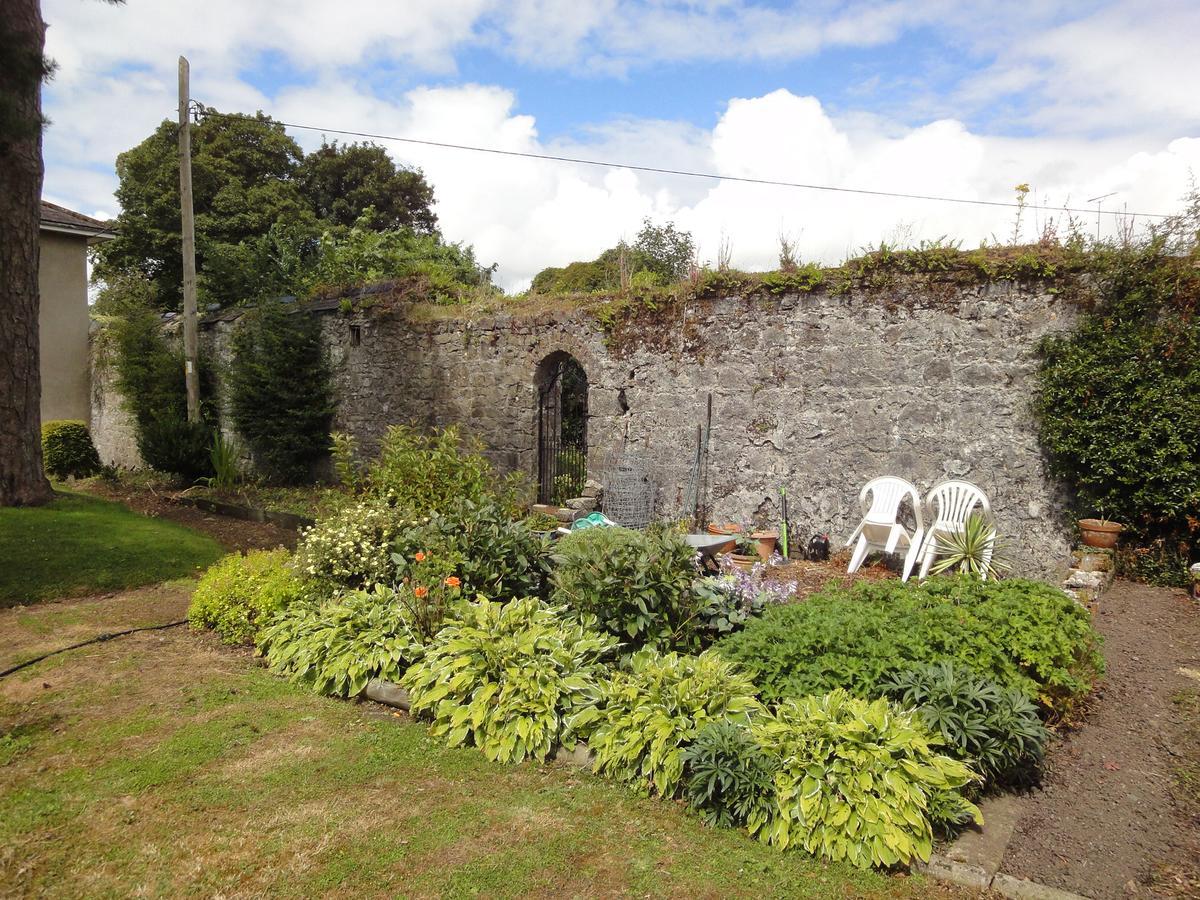 Glendine House Kilkenny Bed & Breakfast Екстериор снимка