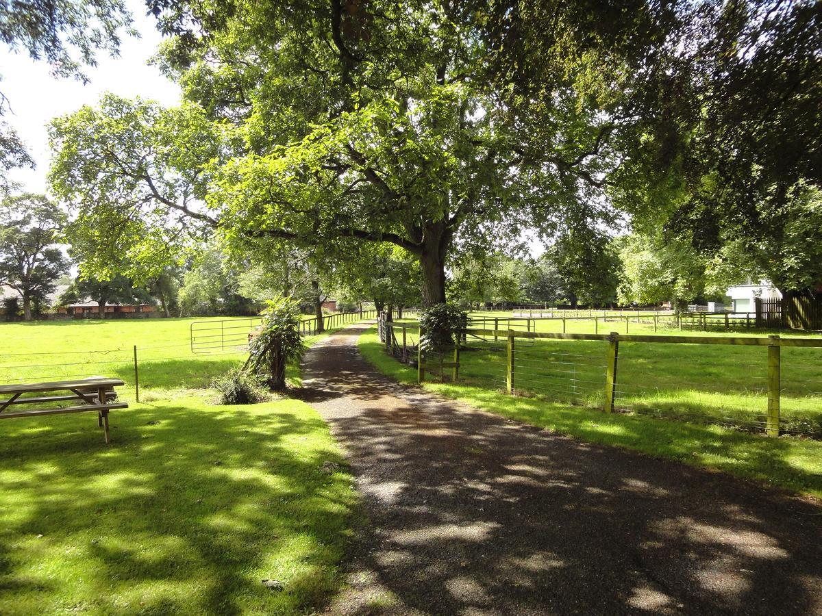 Glendine House Kilkenny Bed & Breakfast Екстериор снимка